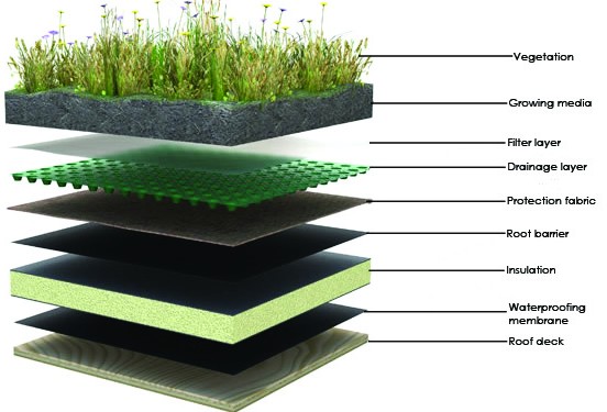Typical Green Roof layers